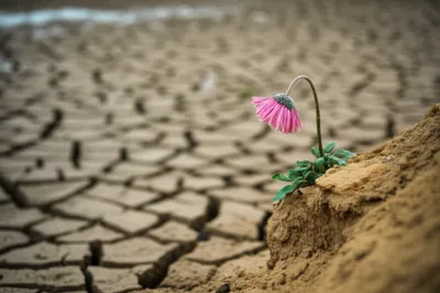 Illustration ebbs - Image 1