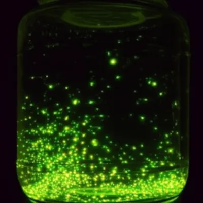 Illustration enclosed - Image 1