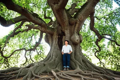 Illustration trusts - Image 1