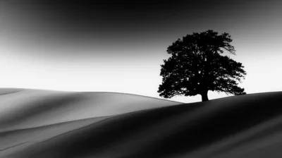 Illustration values - Image 1