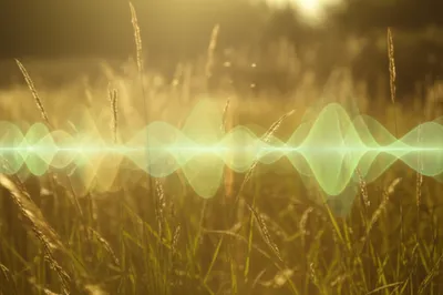 Illustration flutes - Image 1