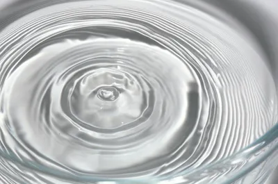 Illustration swilled - Image 1