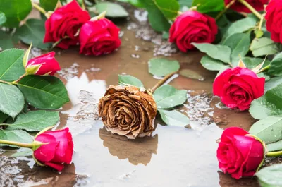 Illustration worst - Image 1