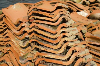 Illustration ruche - Image 1