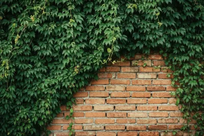 Illustration parasites - Image 1