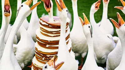 Illustration cake - Image 1