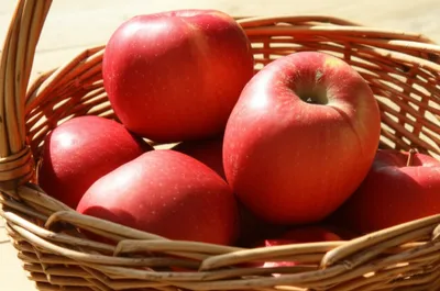 Illustration som - Image 1