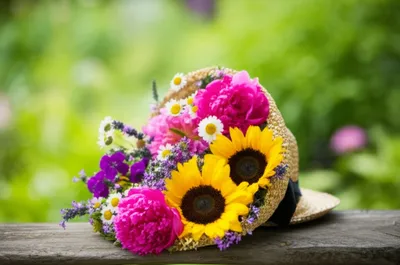 Illustration brimmed - Image 1