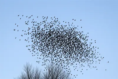 Illustration pks - Image 1