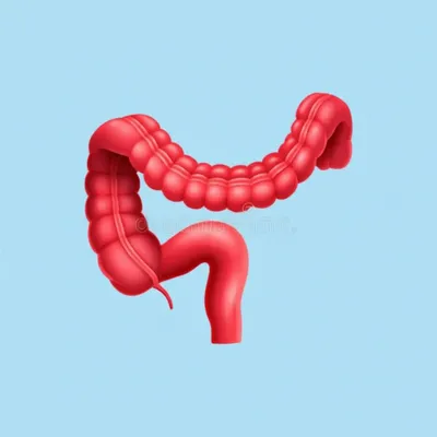 Illustration flexure - Image 1