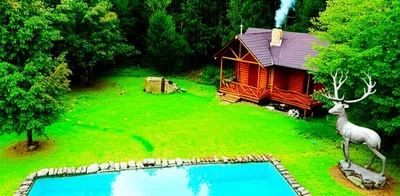 Illustration build - Image 1