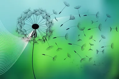 Illustration whiffed - Image 1