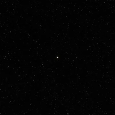 Illustration prick - Image 1