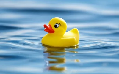 Illustration bobbing