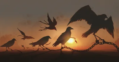 Illustration birds - Image 1