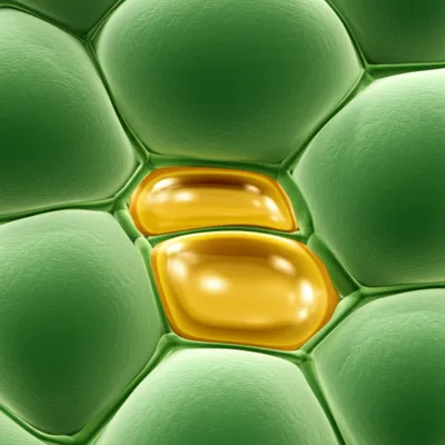 Illustration reservoir - Image 1