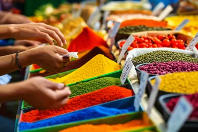 Illustration proceeds - Image 1