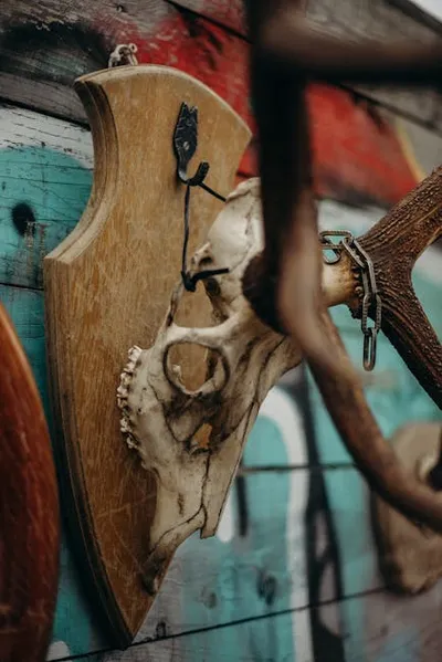 Illustration brainpan - Image 2