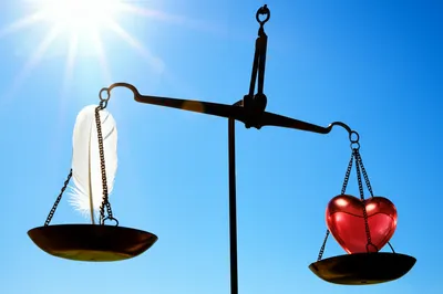 Illustration justified - Image 1