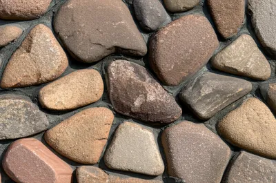 Illustration fragmentary - Image 1