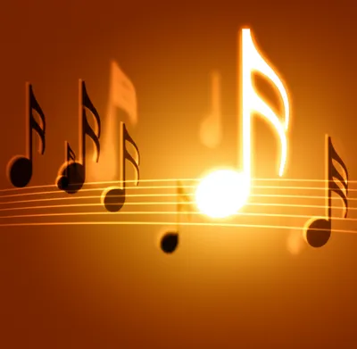 Illustration placing - Image 1