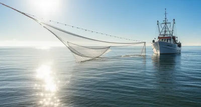 Illustration shot - Image 1