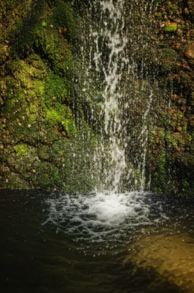 Illustration trills - Image 1