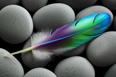 Illustration unique - Image 1