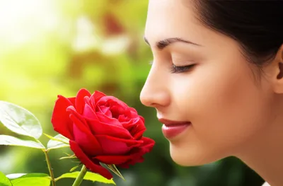 Illustration odour - Image 1