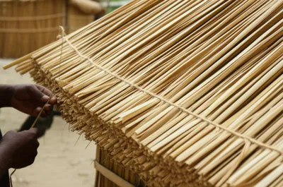 Illustration reeded - Image 1