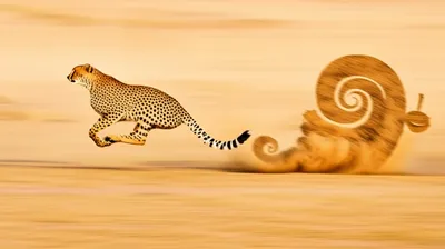 Illustration outran - Image 1