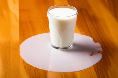 Illustration spilt - Image 1