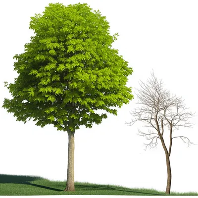 Illustration downstage - Image 1