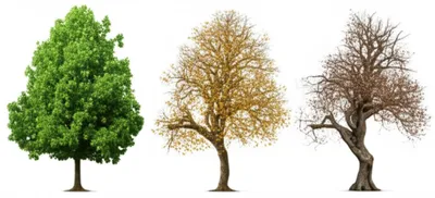 Illustration involution - Image 1