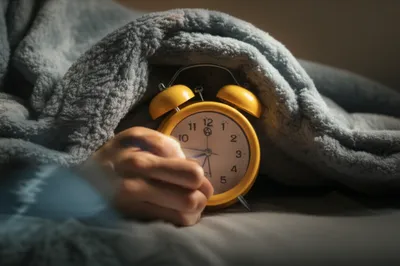 Illustration muffles - Image 1