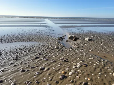 Illustration recede - Image 1