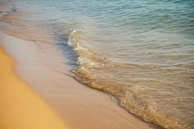 Illustration lip - Image 1