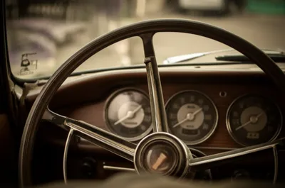 Illustration purrs - Image 1