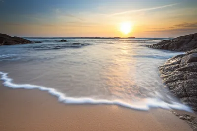 Illustration waxes - Image 1