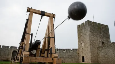 Illustration shots - Image 1