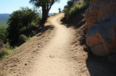 Illustration reviewed - Image 1