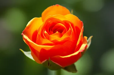 Illustration perfective - Image 1