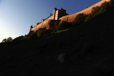 Illustration baser - Image 1