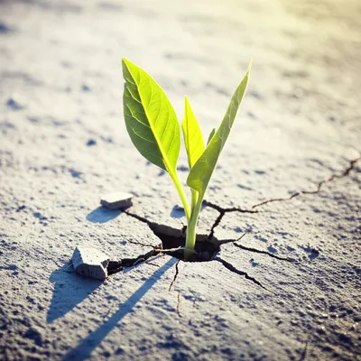 Illustration rebooting - Image 1