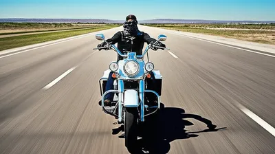 Illustration hog - Image 1