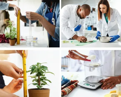 Illustration metes - Image 1