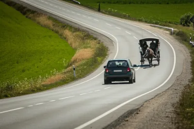 Illustration preceded - Image 1