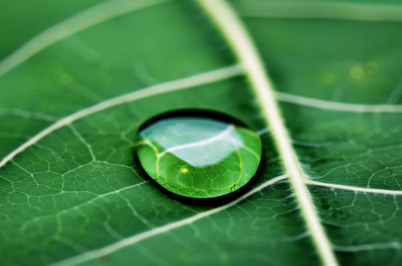 Ilustración visual de la palabra "little" - Un poco