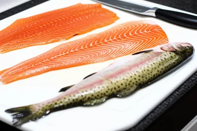 Illustration filleting - Image 1