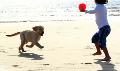 Illustration fetching - Image 1